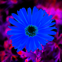 Blue